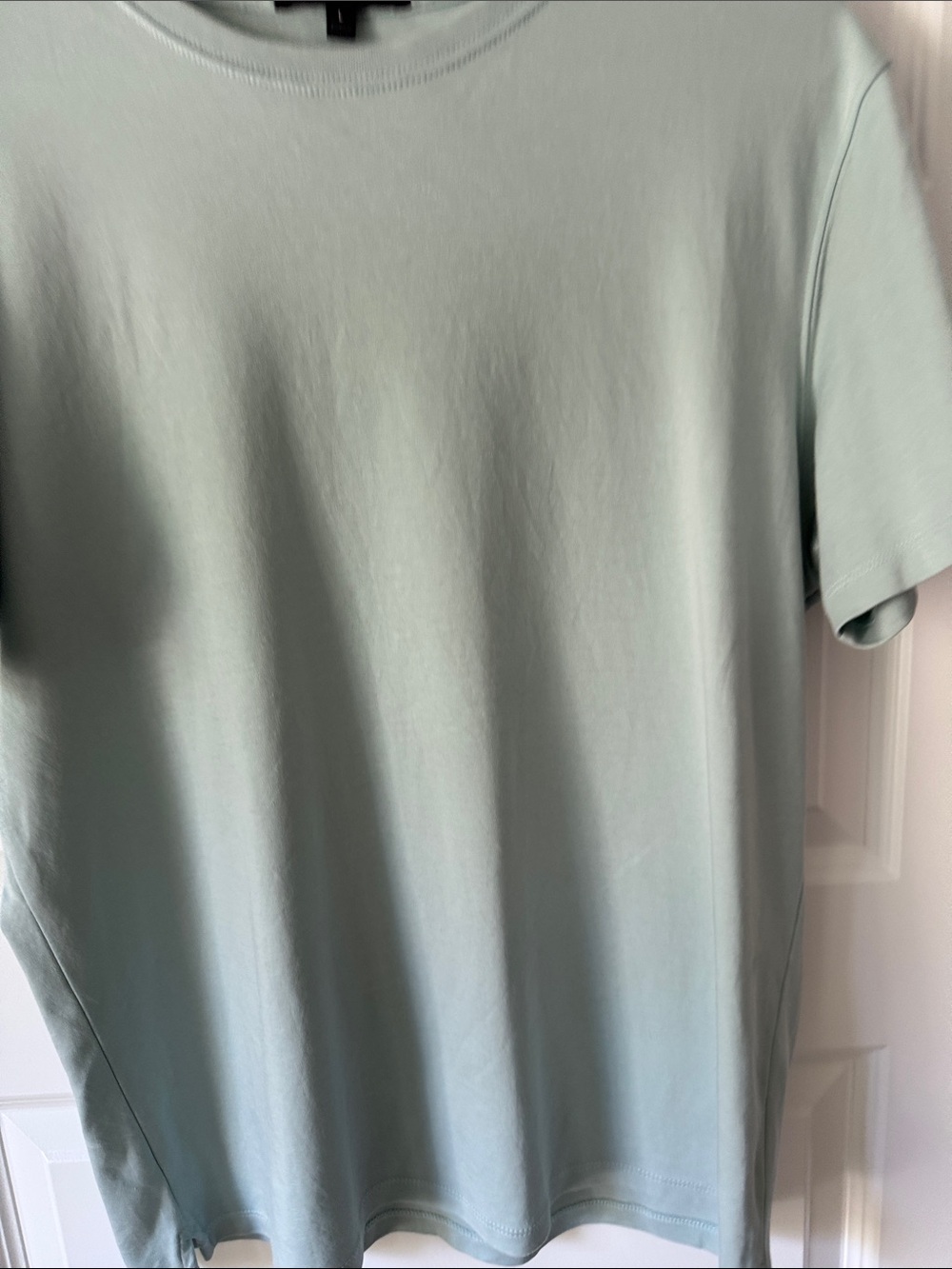 Men's Crew Neck T-Shirt in Light Mint Green